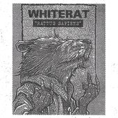 Rattus Sapiens