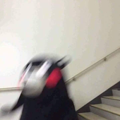 morgieh 的头像