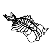 CnP_15022025_191931.png