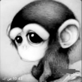 Avatar for Kmpo