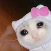 zaexze için avatar