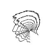 brain fog the experience
