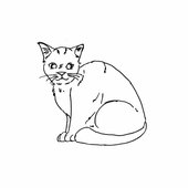 Neko Sketches.jpg