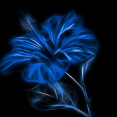Avatar for zorroseven