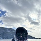 IMG_4038.jpeg