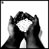 \"Pharma Soup\" Cover art