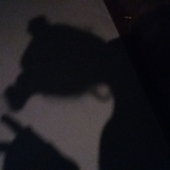 Avatar for sxfi6_