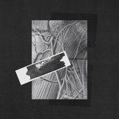 L'Aliment - Single