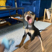 brunghj3 的头像