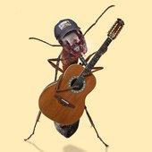 TheAntBand.jpg