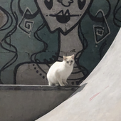 MiniMDK için avatar