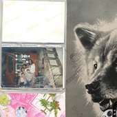 Rottweiler [Explicit]