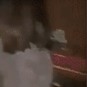 KXTAMINE_GIF_#44ANGELZ