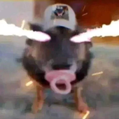 Avatar for m1chip1