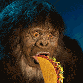 Avatar for solidfood