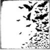 Avatar for azybats