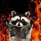 mattyfoxx 的头像