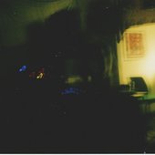 Alocasia Garden/Sheffield. 20/12/15.