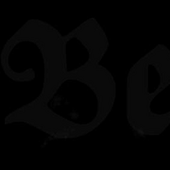 9 beds logo.png