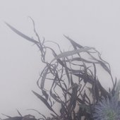 R-12601713-1538392738-2292.jpg