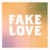 Fake Love - Single
