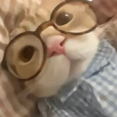 kvlvcxzc 的头像