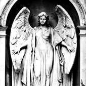 apotheoses 的头像
