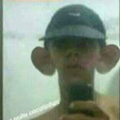 guilhermerznr 的头像