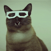 Avatar für Floydess