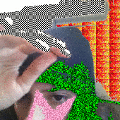 Avatar for divagetsup