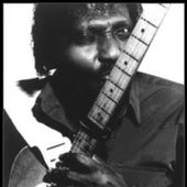 Albert Collins_12.jpg