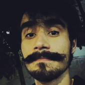 gmichelcarvalho 的头像