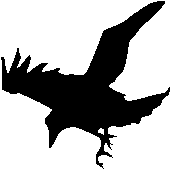 Avatar for Munin5