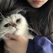 oaes 的头像