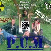 P.U.M.