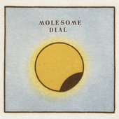 dial cover