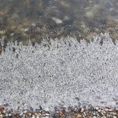 By the Frozen Pond.jpg
