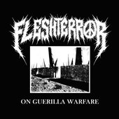 On Guerrilla Warfare