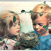selkie kids