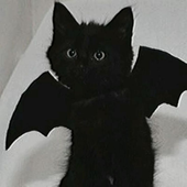 bueisboo 的头像