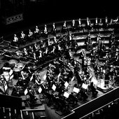 The Royal Philharmonic Orchestra