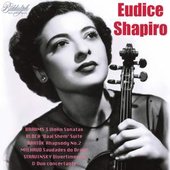 Brahms, Bloch & Others: Violin Works