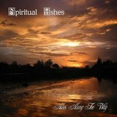 Ashes Along the Way