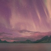 banner.jpg