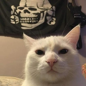 1631585865677.png
