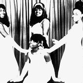 Cooperettes