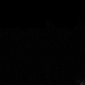12339174_1657510557861581_4118145590480416628_o.png