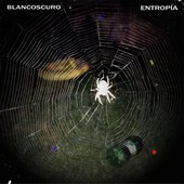 entropía