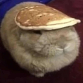 Avatar for bowlrabbit