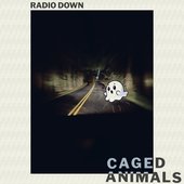 Radio Down